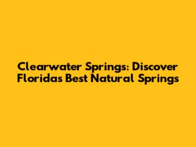 Clearwater Springs: Discover Florida's Best Natural Springs