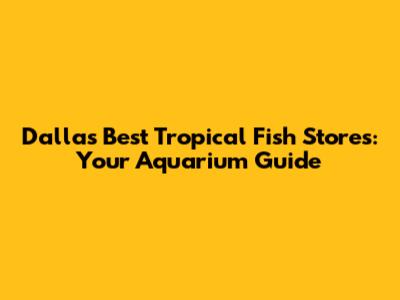 Dallas' Best Tropical Fish Stores: Your Aquarium Guide