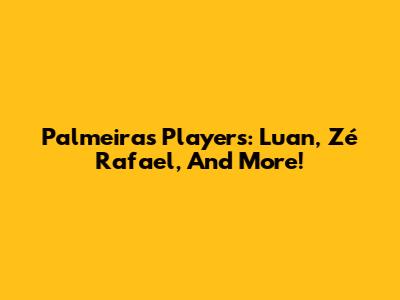 Palmeiras Players: Luan, Zé Rafael, And More!