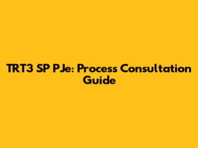TRT3 SP PJe: Process Consultation Guide